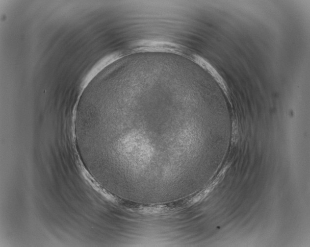 X0000087641386200705181514