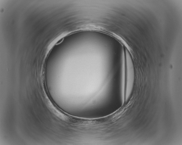 X0000087641387200705181514