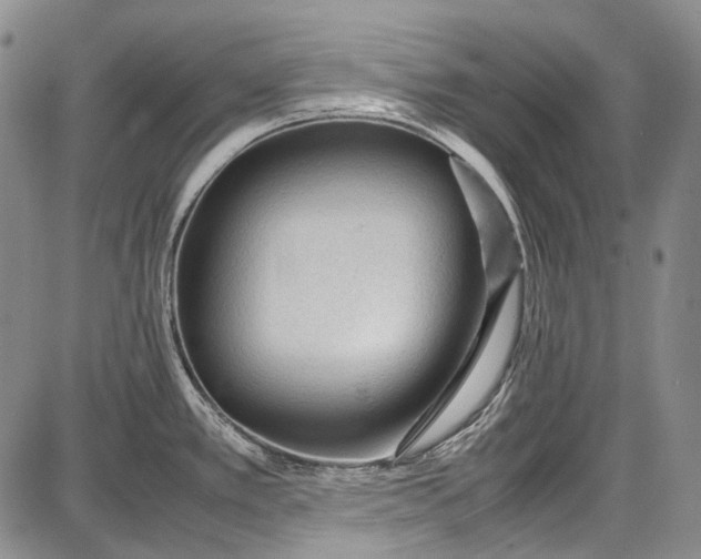 X0000087641389200705181514