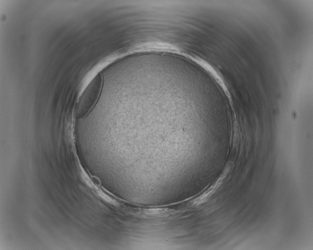 X0000087641390200705181514