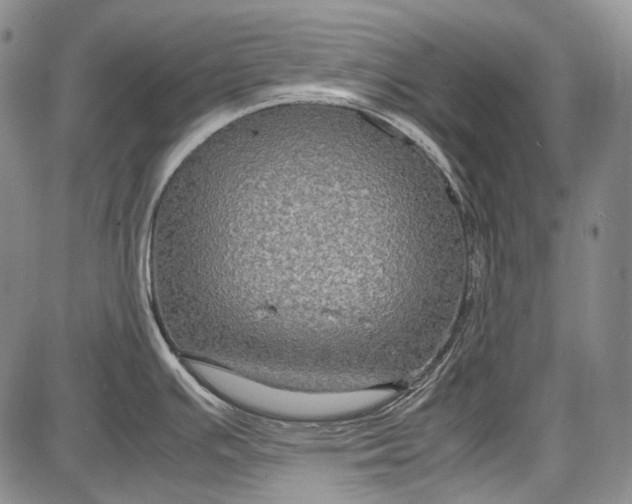 X0000087641391200705181514