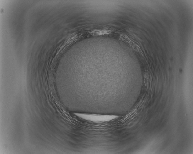 X0000087641393200705181514