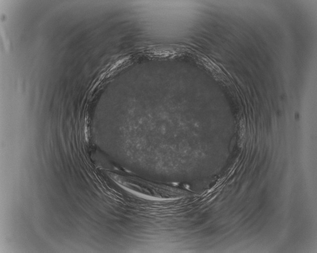 X0000087641394200705181514