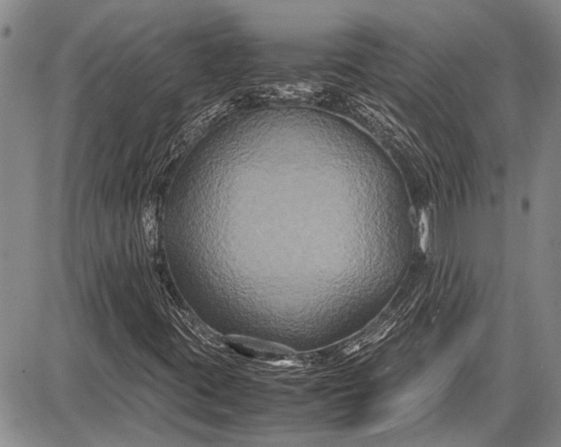 X0000087641395200705181514