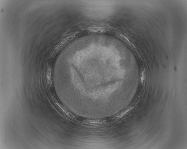 X0000087641396200705181514