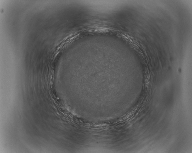 X0000087641397200705181514