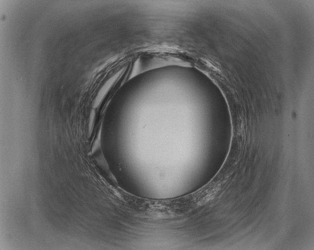 X0000087641398200705181514