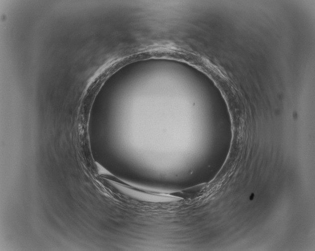 X0000087641400200705181514