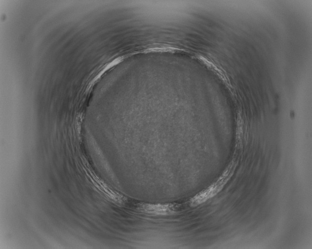 X0000087641401200705181514