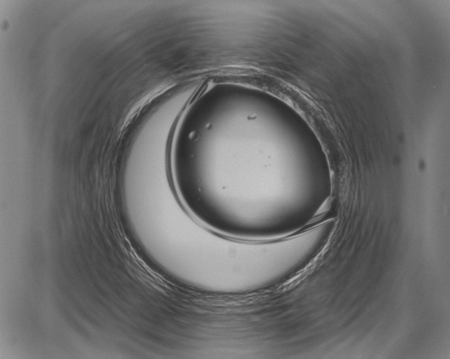 X0000087641402200705181514