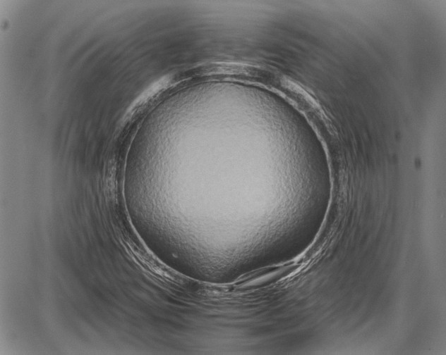 X0000087641403200705181514