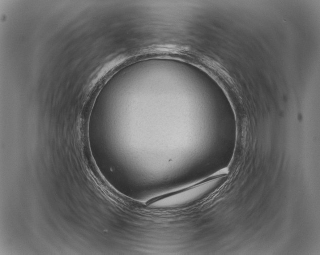 X0000087641404200705181514