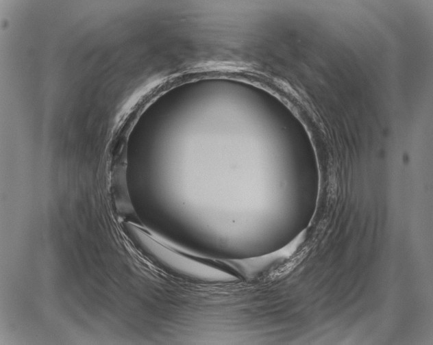 X0000087641406200705181514