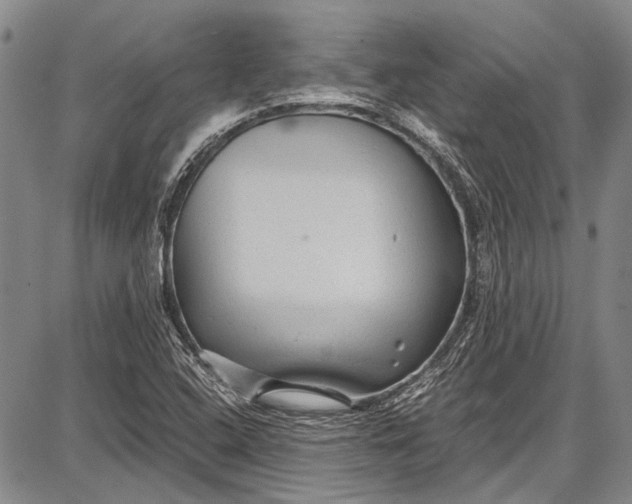 X0000087641408200705181514