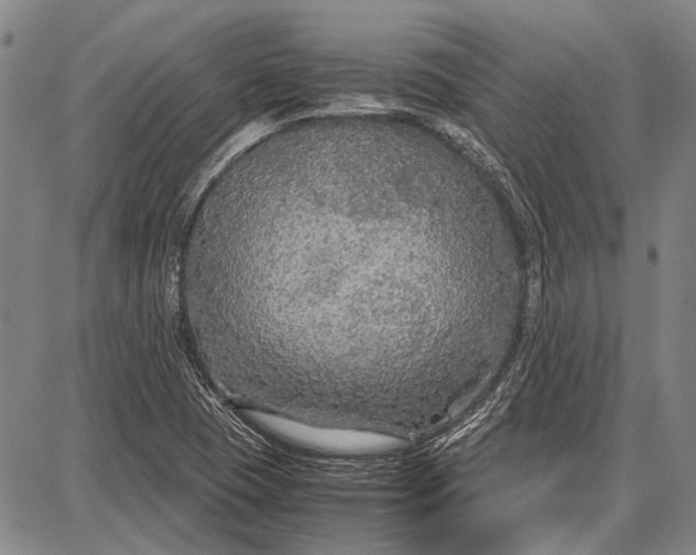 X0000087641409200705181514