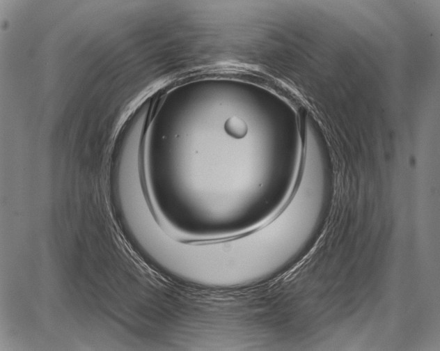 X0000087641410200705181514