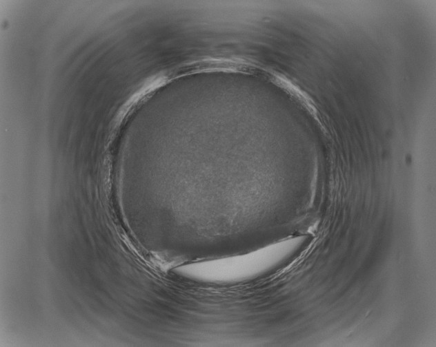 X0000087641411200705181514