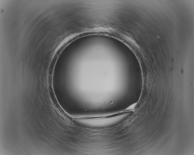 X0000087641412200705181514