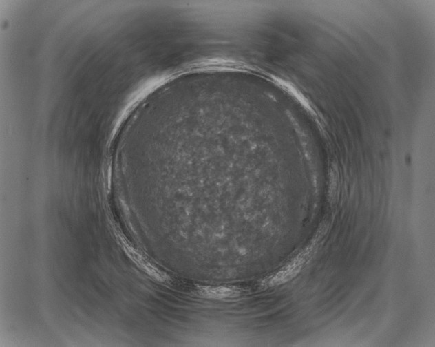 X0000087641413200705181514