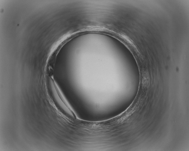 X0000087641414200705181514