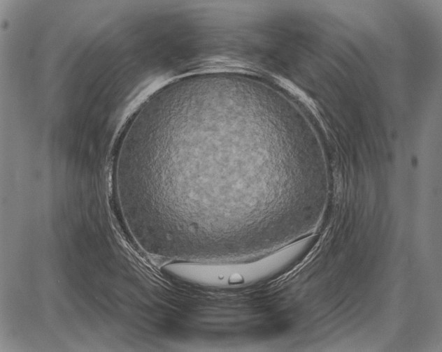 X0000087641415200705181514