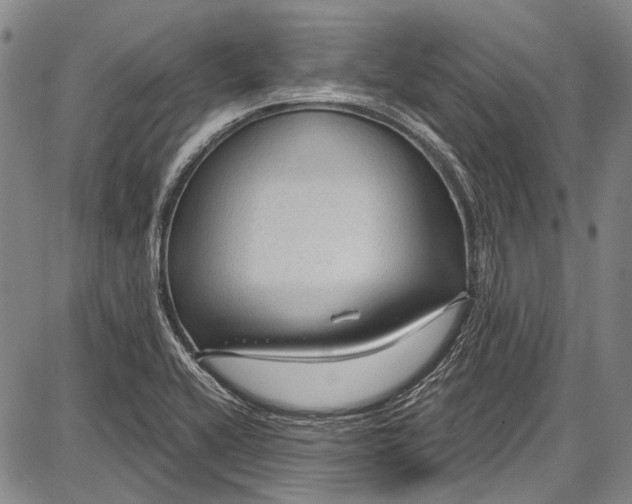 X0000087641416200705181514