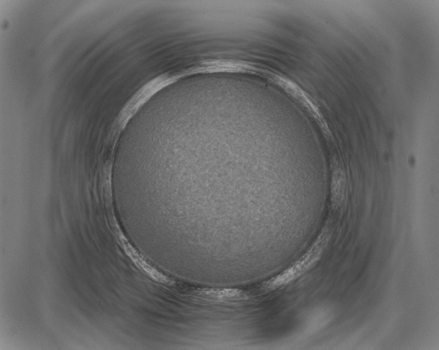 X0000087641417200705181514