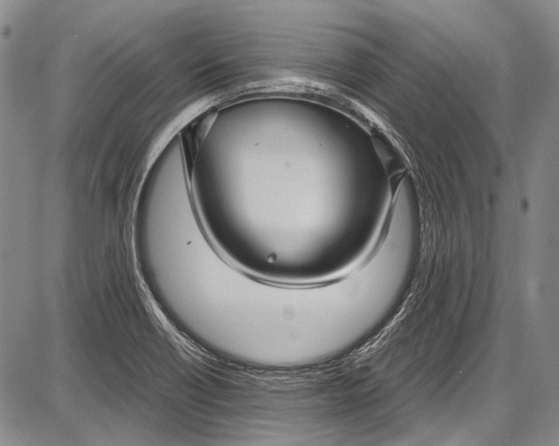 X0000087641418200705181514