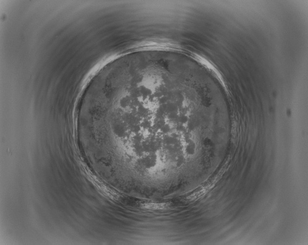 X0000087641419200705181514