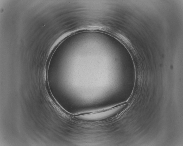 X0000087641420200705181514