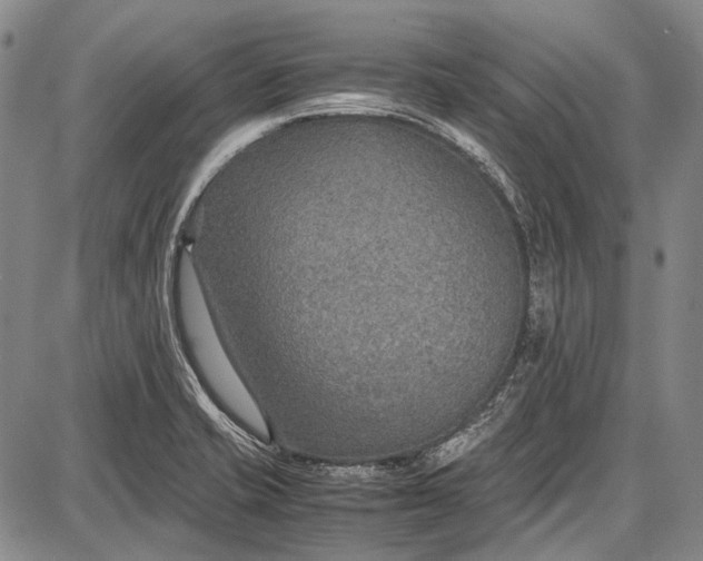 X0000087641421200705181514