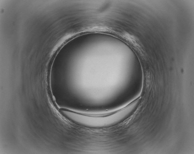 X0000087641422200705181514