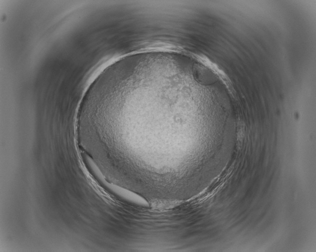 X0000087641423200705181514