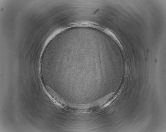 X0000087641424200705181514