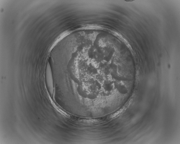 X0000087641425200705181514