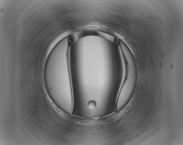 X0000087641426200705181514