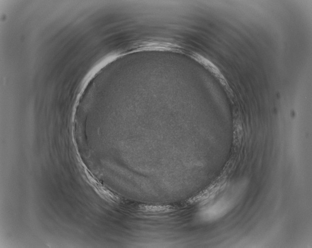 X0000087641427200705181514