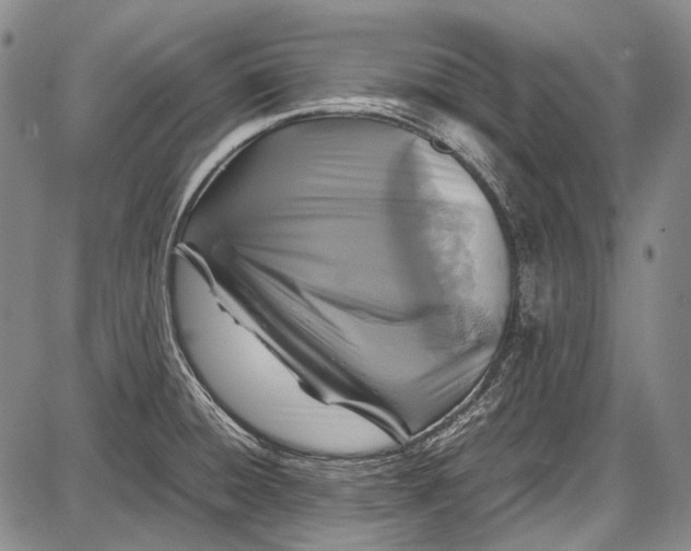 X0000087641428200705181514