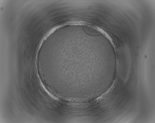 X0000087641429200705181514