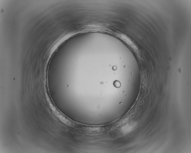 X0000087641431200705181514