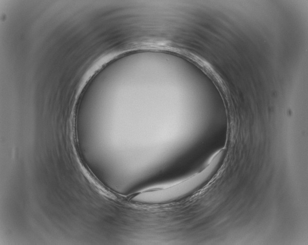 X0000087641432200705181514