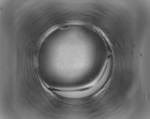 X0000087641433200705181514