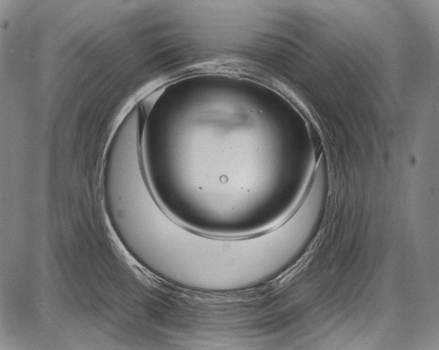 X0000087641434200705181514