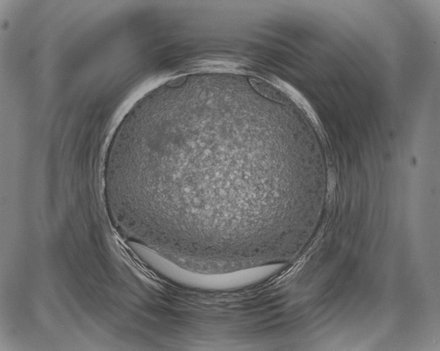 X0000087641435200705181514