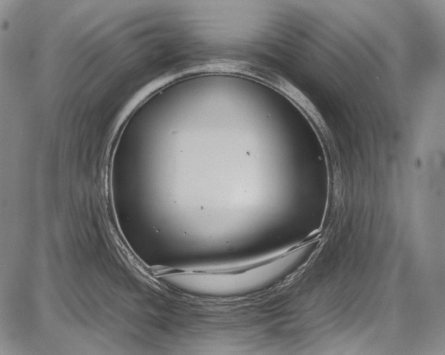 X0000087641436200705181514