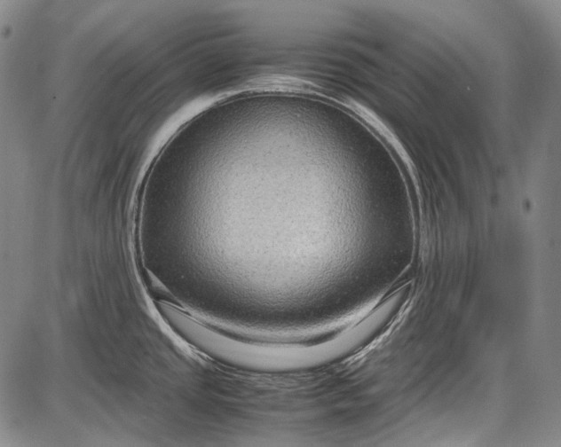 X0000087641437200705181514