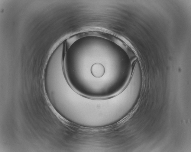 X0000087641438200705181514