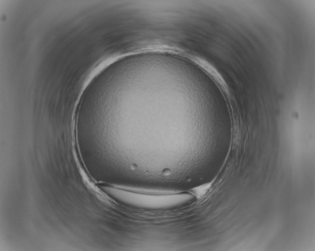 X0000087641439200705181514