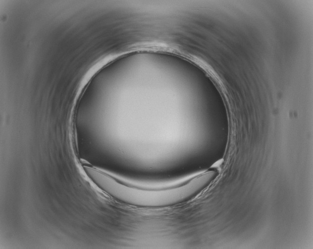 X0000087641440200705181514