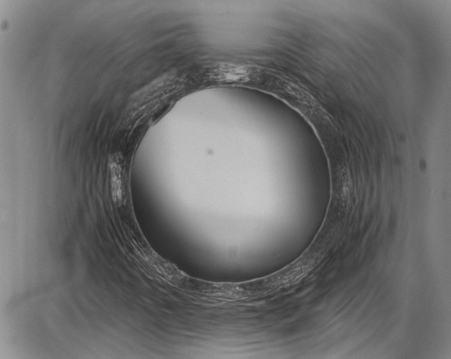 X0000087641442200705181514